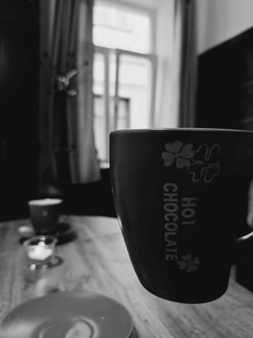 Sofia'S Home Comfy Studio In The Old Town บราชอฟ ภายนอก รูปภาพ